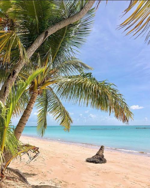 Ferienwohnung Neo Beira Mar Maceio Exterior foto